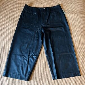 NWT Anthropologie Colette Faux Leather Crop Wide-Leg Pants by Maeve, Women’s 20W